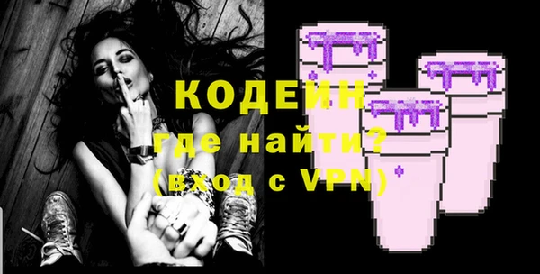мет Елизово