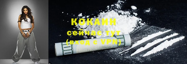 прущая мука Ельня