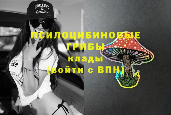 мет Елизово