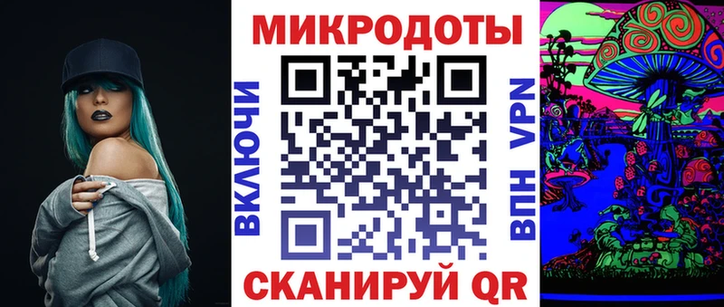 где найти наркотики  Заволжск  Псилоцибиновые грибы Psilocybine cubensis 